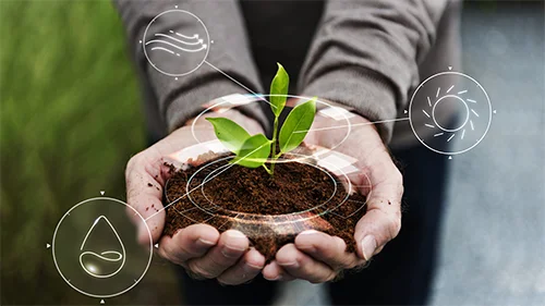 Imagem de Sustentabilidade